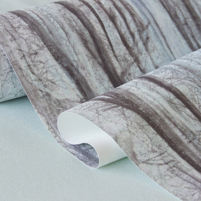 Обои 70392-26 R аспект Акцент Таинственный лес