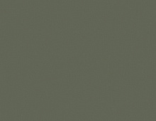 Обои KN7 005/1 Loymina Денди