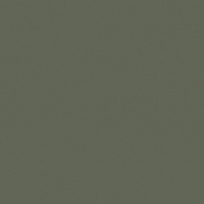 Обои KN7 005/1 Loymina Денди Loymina коллекция Денди производства РОССИЯ в интернет-магазине Обоитрейд