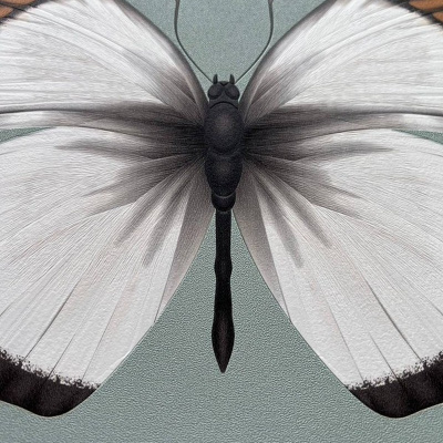 Обои 54401-4 Andrea Rossi Cheradi