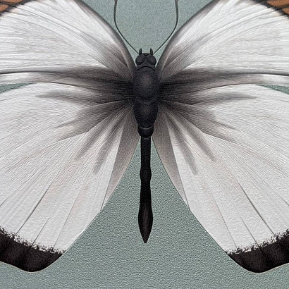 Обои 54401-4 Andrea Rossi Cheradi Andrea Rossi коллекция Cheradi производства Италия в интернет-магазине Обоитрейд