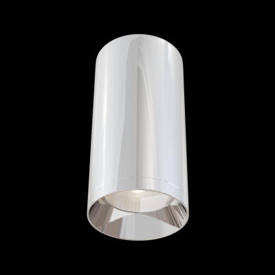 Потолочный светильник Technical Ceiling & Wall C010CL-01CH