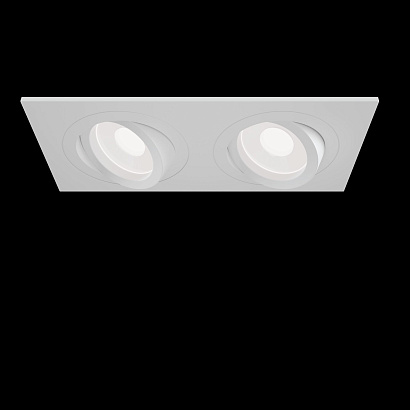 Встраиваемый светильник Technical Downlight DL024-2-02W