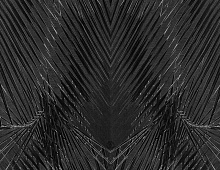 Обои RC17005 Roberto Cavalli Home 6