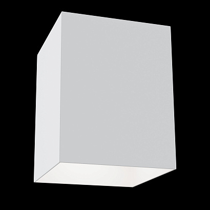 Потолочный светильник Technical Ceiling & Wall C015CL-01W