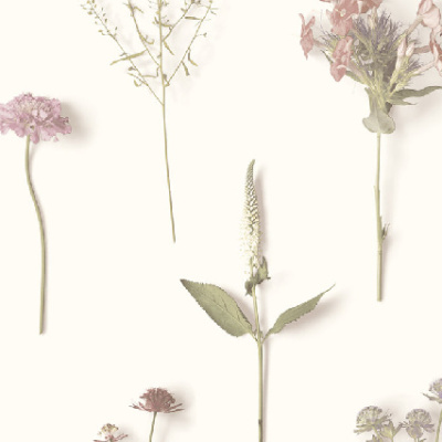 Обои NF 3302 Grandeco Ideco Natural Forest