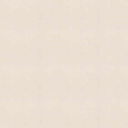 Обои 990317 Rasch Unitex Rasch коллекция Unitex производства  в интернет-магазине Обоитрейд