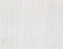 Обои 80645 Prima Italiana Голубь