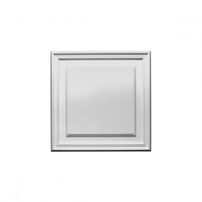 Лепнина D506 накладная панель