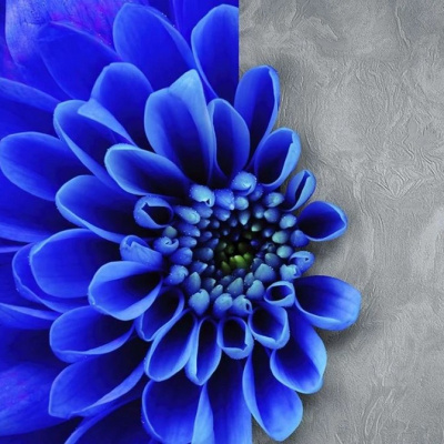 Обои Z76049 Zambaiti Vision