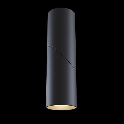 Потолочный светильник Technical Ceiling & Wall C027CL-L10B