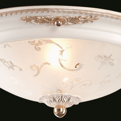 Потолочный светильник Maytoni Ceiling & Wall C907-CL-02-W
