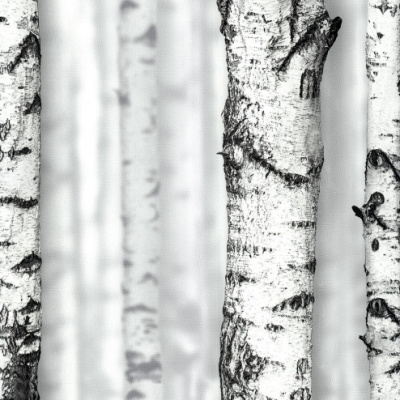 Обои 54198-1 Andrea Rossi Sicily