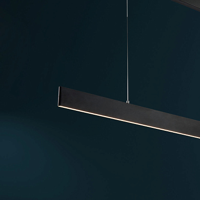 Подвесной светильник Technical Pendant P010PL-L23B4K