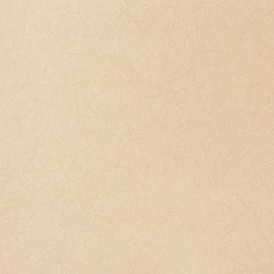 Обои 5068-79 Bernardo Bartalucci Legend