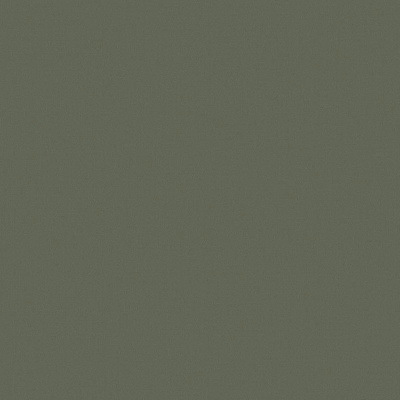 Обои KN7 005/1 Loymina Денди