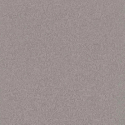 Обои 752649 Rasch African Queen 3