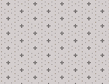 Обои Neo6 011/1 Milassa Neo Classic