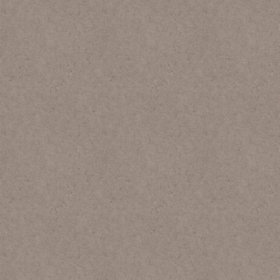 Обои 520873 Rasch Beltesto