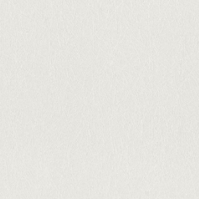 Обои 124514 Rasch Wallton