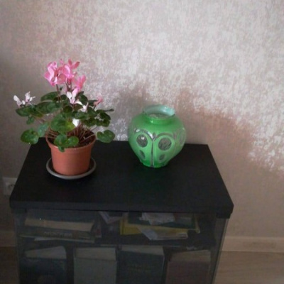 Обои 70320-24 R аспект Эдем