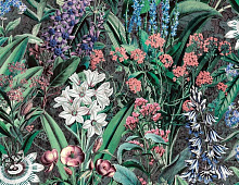 Обои 47475 Marburg Flora