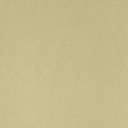 Обои 5068-44 Bernardo Bartalucci Legend Bernardo Bartalucci коллекция Legend производства Италия в интернет-магазине Обоитрейд