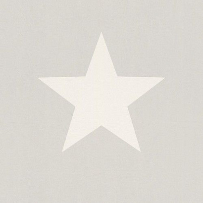 Обои 248128 Rasch Kids&Teens Rasch коллекция Kids&Teens производства Германия в интернет-магазине Обоитрейд