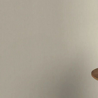 Обои 537123 Rasch Barbara / Barbara Home Collection / Barbara Home Collection 2 Rasch коллекция Barbara производства Германия в интернет-магазине Обоитрейд