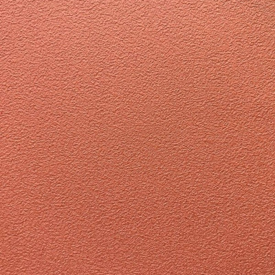 Обои R65438-14 Alessandro Allori Barbara