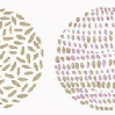 Обои 69254013 Caselio Pretty Lili