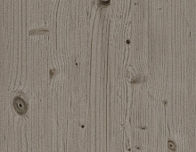 Обои 606270 Rasch Passepartout