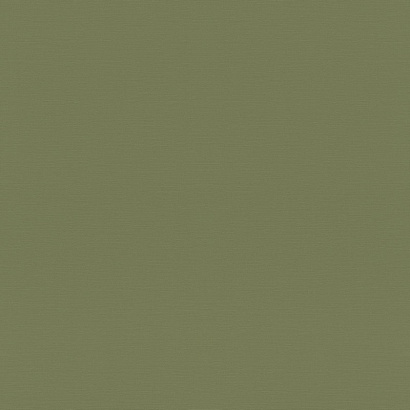 Обои 687538 Rasch Tropical House / Rhapsody / Symphony / Allegretto Rasch коллекция Tropical House производства Германия в интернет-магазине Обоитрейд