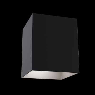 Потолочный светильник Technical Ceiling & Wall C015CL-01B