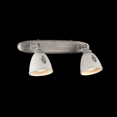 Спот Maytoni Spot SP289-CW-02-BG