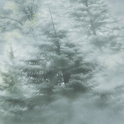 Обои HC72551-71  Palitra Life Ультрахром 3