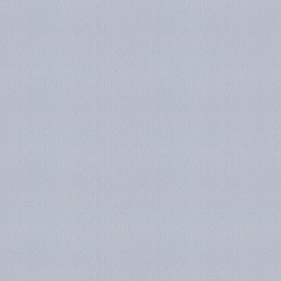 Обои 978568 Rasch Unitex Rasch коллекция Unitex производства  в интернет-магазине Обоитрейд