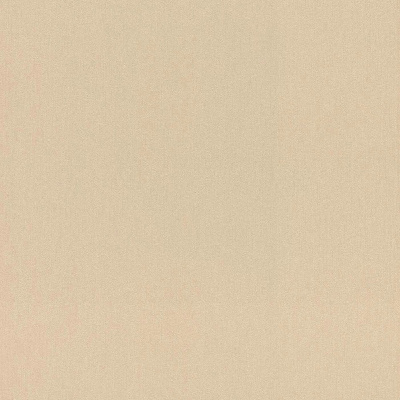 Обои 720150 Rasch Amara / Incanto