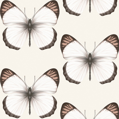 Обои 54401-2 Andrea Rossi Cheradi