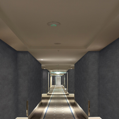 Обои 33501 Marburg Solid Contract - Newton