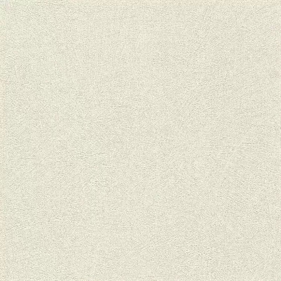 Обои 520231 Rasch Concrete Rasch коллекция Concrete производства Германия в интернет-магазине Обоитрейд