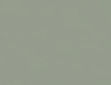 Обои 7308-12 Euro Decor Physalis