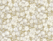 Обои BM25037 Blumarine Блюмарин №2