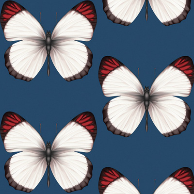 Обои 54401-8 Andrea Rossi Cheradi