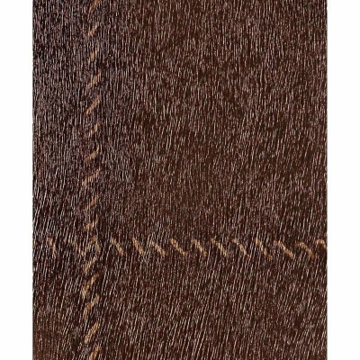 Обои 422412 Rasch African Queen