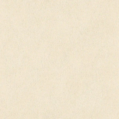 Обои 422627 Rasch African Queen