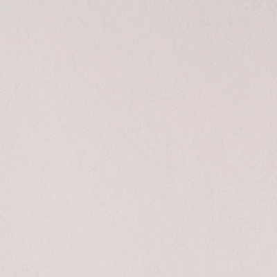 Обои 5068-62 Bernardo Bartalucci Legend