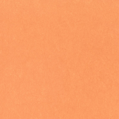 Обои 5068-59 Bernardo Bartalucci Legend