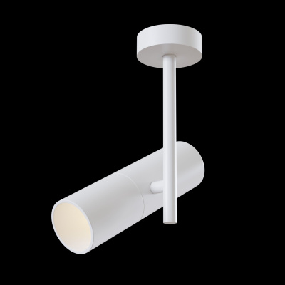 Потолочный светильник Technical Ceiling & Wall C020CL-01W