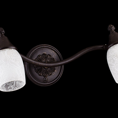 Спот Maytoni Spot SP563-CW-02-R